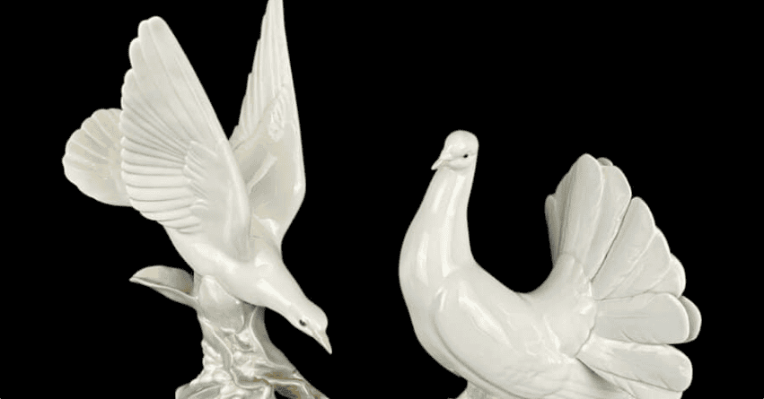 Doves Doves